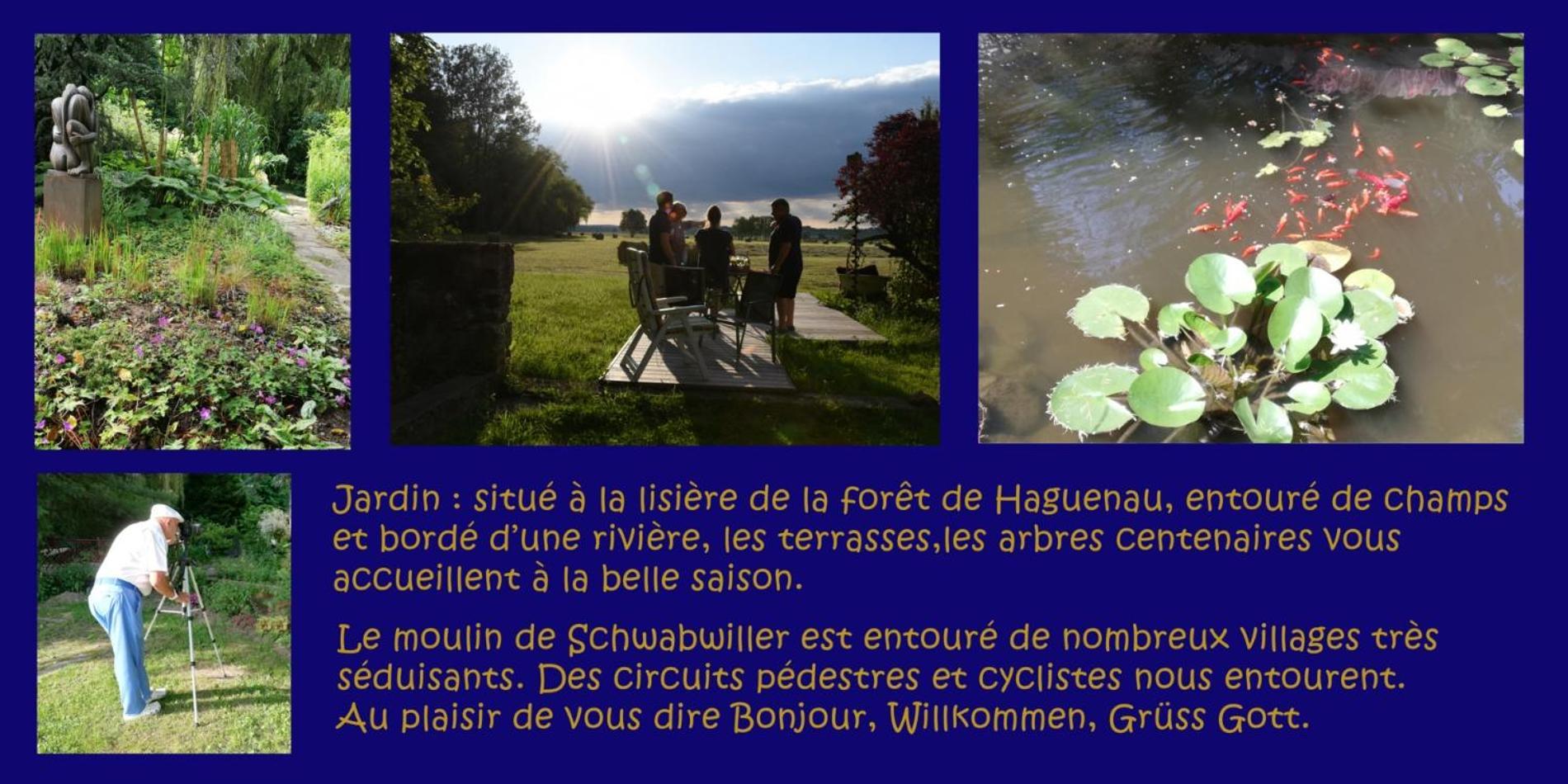 Gite L'Amarante Betschdorf エクステリア 写真